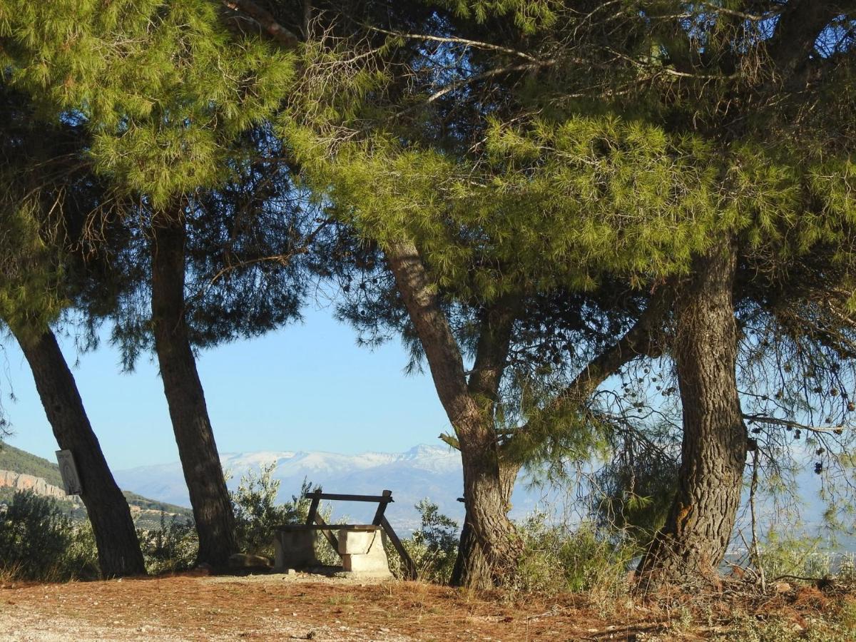 Cortijo La Fe Guest House Montefrio Exterior photo