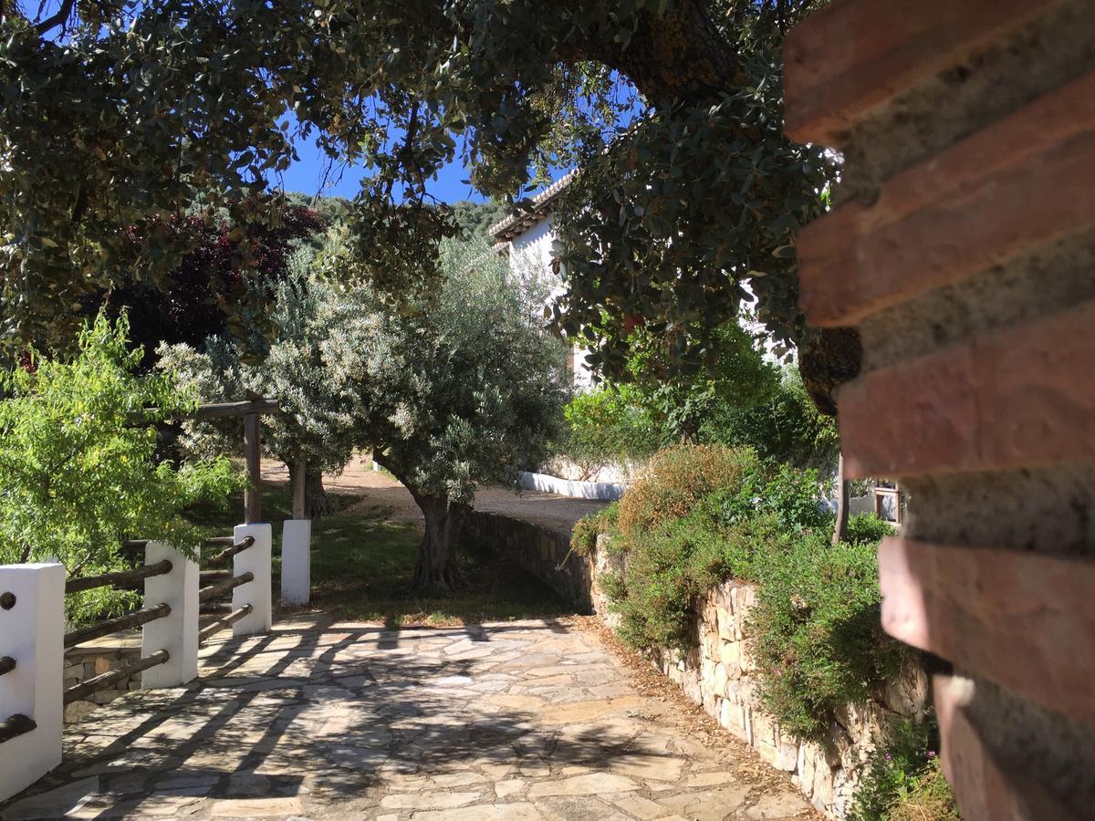 Cortijo La Fe Guest House Montefrio Exterior photo